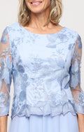Embroidered Tulle & Chiffon Cocktail Dress